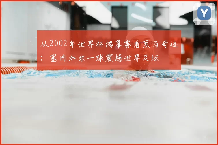 从2002年世界杯揭幕赛看黑马奇迹：塞内加尔一球震撼世界足坛