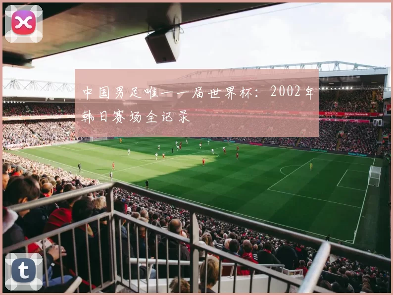 中国男足唯一一届世界杯：2002年韩日赛场全记录