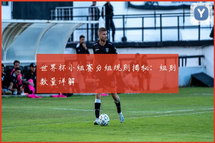 世界杯小组赛分组规则揭秘：组别数量详解