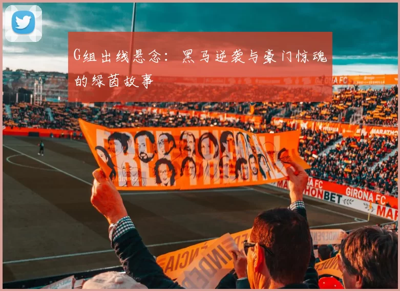 G组出线悬念：黑马逆袭与豪门惊魂的绿茵故事