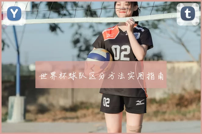 世界杯球队区分方法实用指南