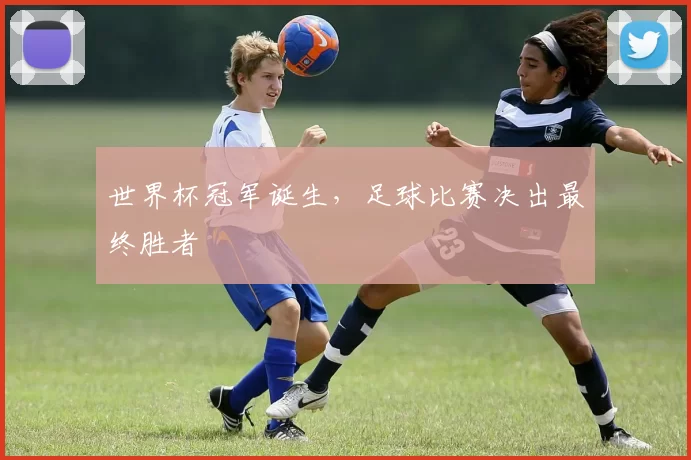 世界杯冠军诞生，足球比赛决出最终胜者