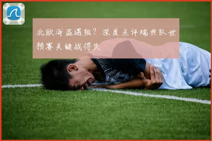 北欧海盗遇阻？深度点评瑞典队世预赛关键战得失